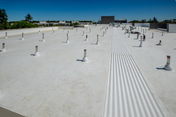 Best Roof Maintenance and Cleaning  in Lake Wynonah, PA